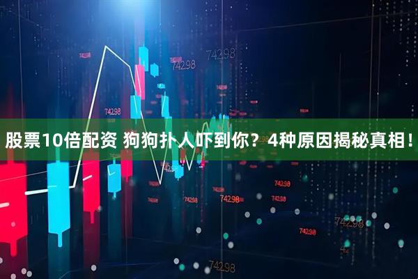 股票10倍配资 狗狗扑人吓到你？4种原因揭秘真相！